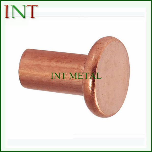 Copper Rivet